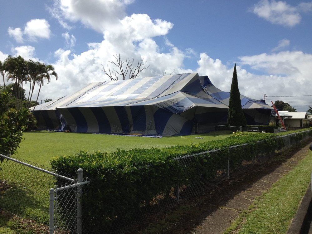 VETERAN TERMITE & PEST CONTROL Updated August 2024 12 Photos & 13