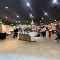 Lush - Interior