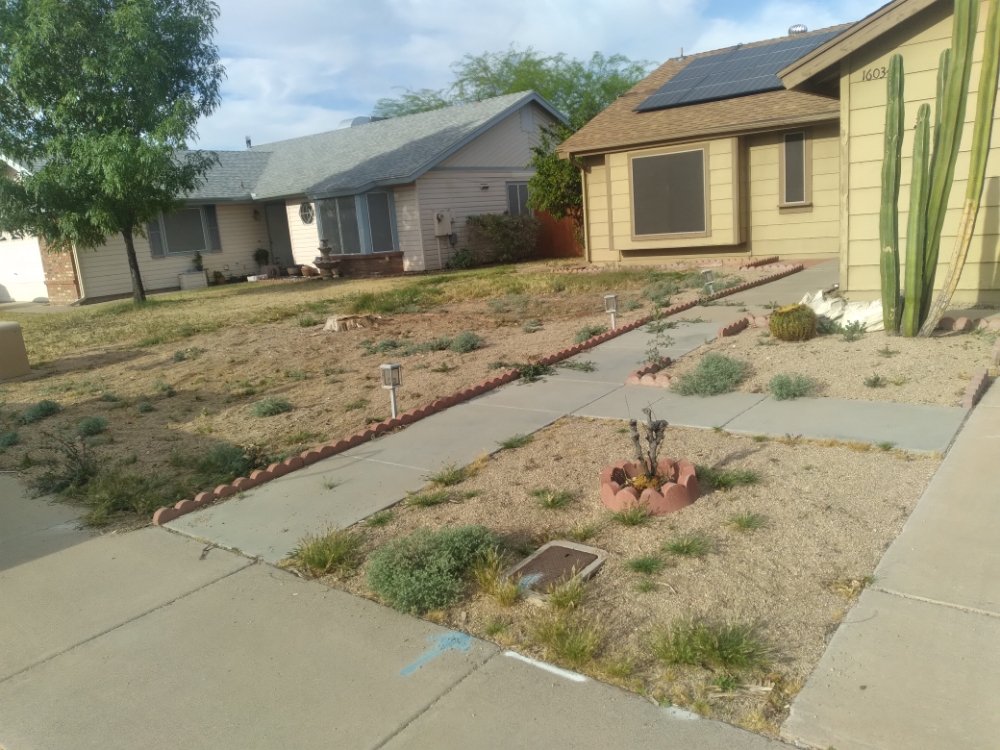 MARVIN LANDSCAPING 53 Photos Phoenix, Arizona Tree Services