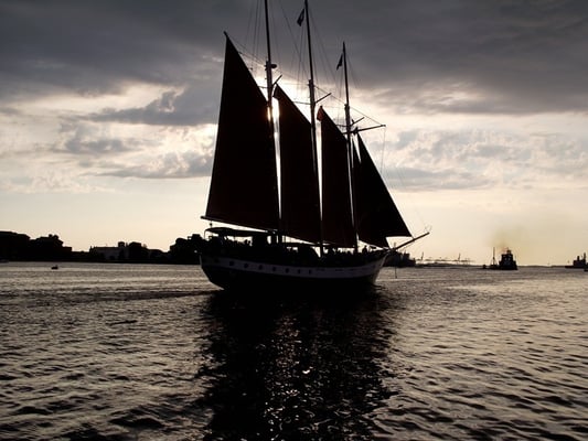 American Rover Sailing Cruises by null