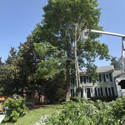 CJ’s Lawn Care