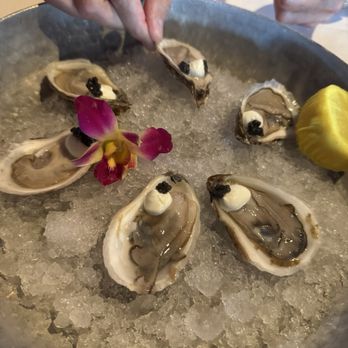 A&B Lobster House - Half dozen oyster with caviar - Seafood Near Me - Key West, Florida A&B Lobster House - Half dozen oyster with caviar - Seafood Near Me - Key West, Florida