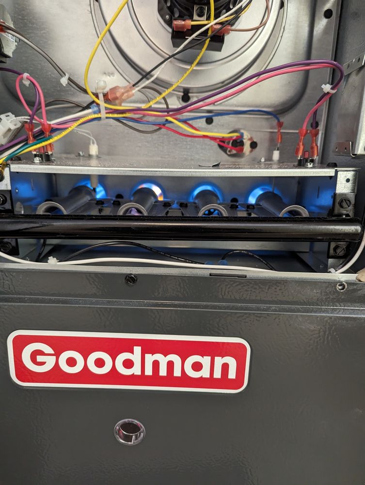 Slide of Vector Services