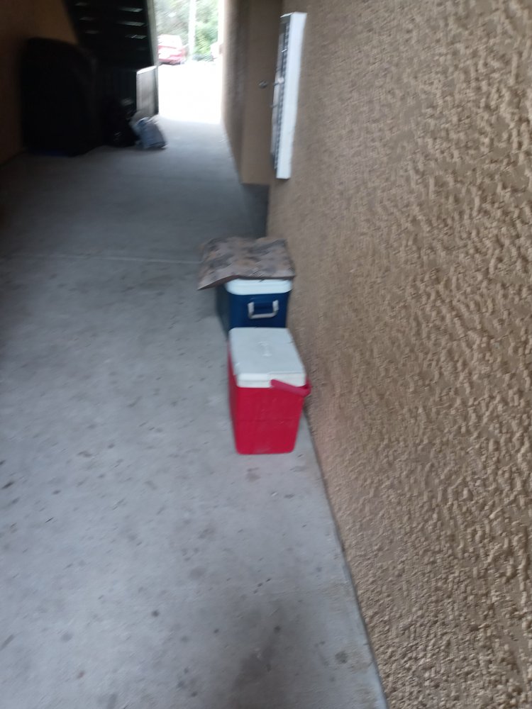 TIMBER TRACE APARTMENTS Updated May 2024 628 Timber Trace Ln