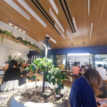 Moonwake Coffee Roasters - Inside - Coffee Roasteries Near Me - San Jose, California Moonwake Coffee Roasters - Inside - Coffee Roasteries Near Me - San Jose, California