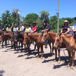 Horseback Trail Rides - Our group after the trail ride.