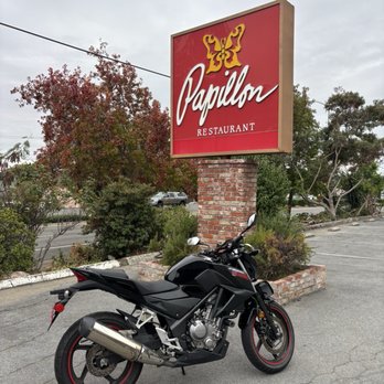Papillon - French Near Me - Fremont, California Papillon - French Near Me - Fremont, California