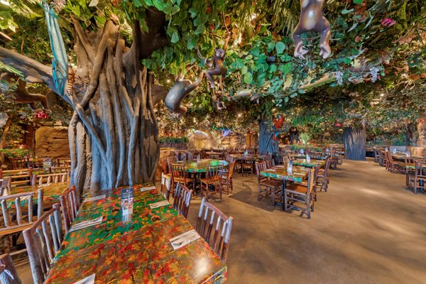 Rainforest Cafe by null