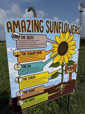 Siegel's Cottonwood Farm by null