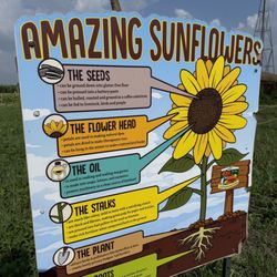 Siegels Cottonwood Farm