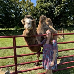 Lavender Waves farm
