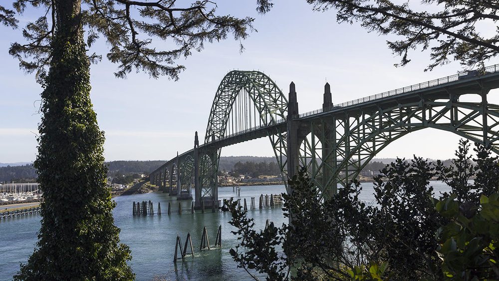 The Hingson Law Firm - property tax consultant in Newport, OR