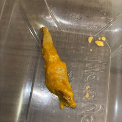 Wendy's - Mold??