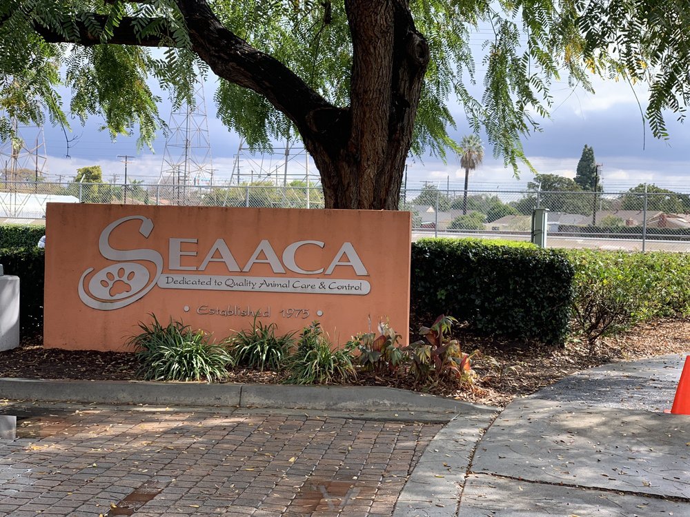 SEAACA Animal Shelter