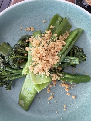 Vivo Palm Cove by null