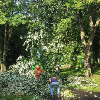 Harper Hill Forestry Products - Tree Services Near Me Harper Hill Forestry Products - Tree Services Near Me
