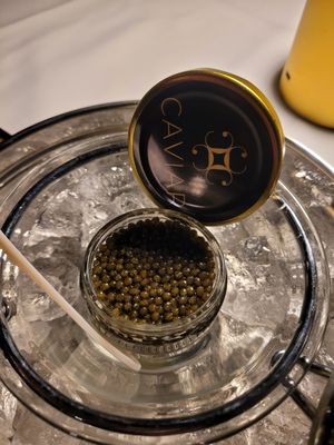 Caviar By DNHG by null