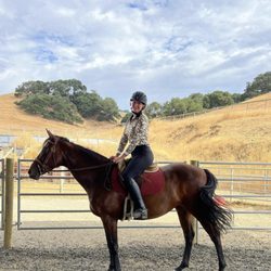 Marshall Hall Riding Academy