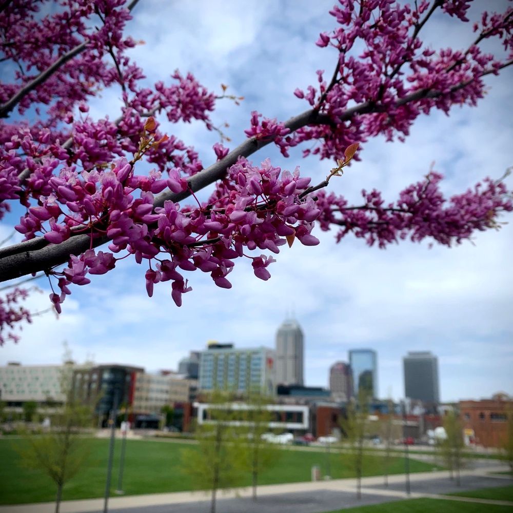 South Street Square Park - Skyline - Parks Near Me - Indianapolis, Indiana South Street Square Park - Skyline - Parks Near Me - Indianapolis, Indiana