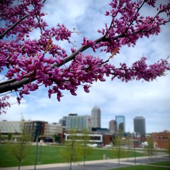 South Street Square Park - Skyline - Parks Near Me - Indianapolis, Indiana South Street Square Park - Skyline - Parks Near Me - Indianapolis, Indiana