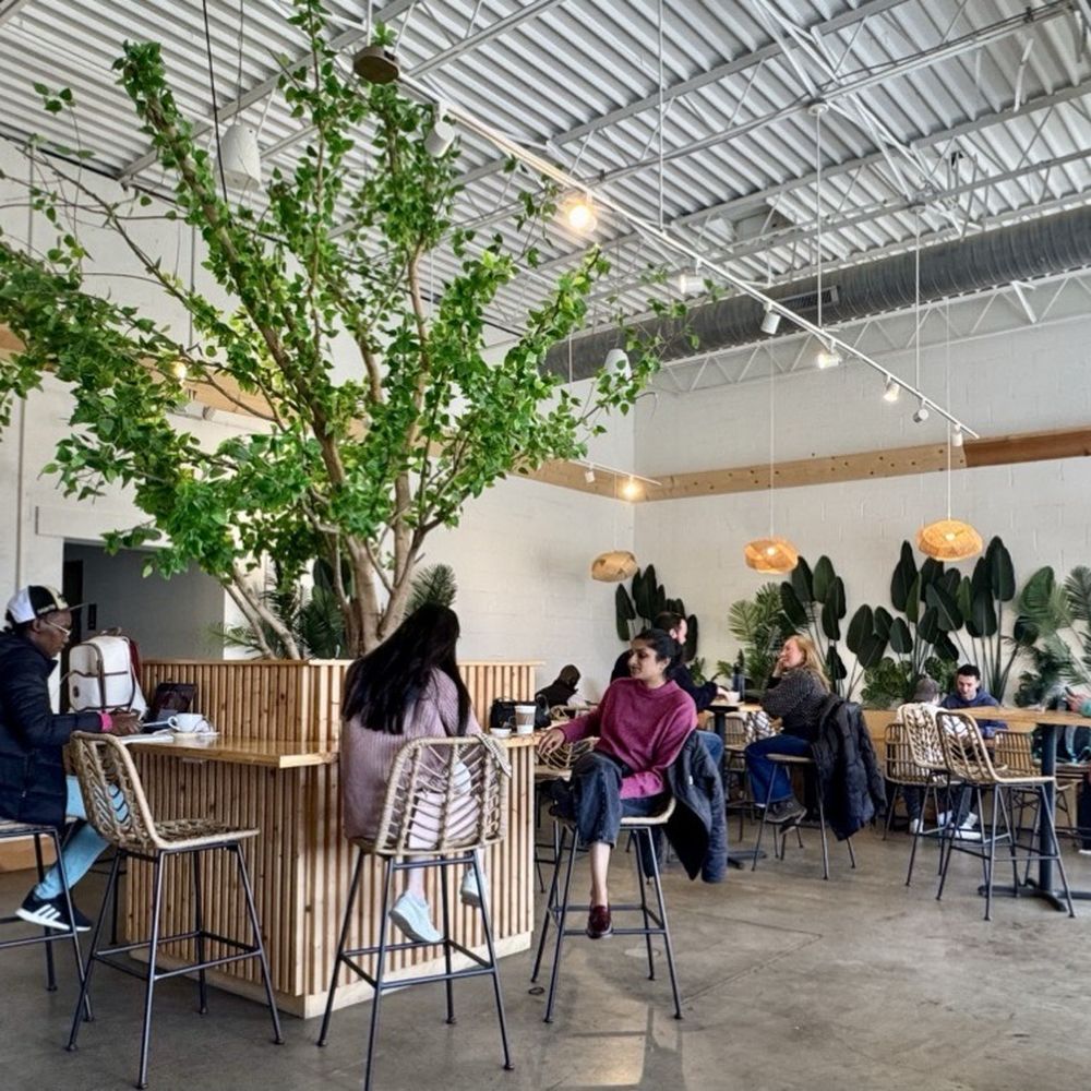 Sumaq Coffee - Coffee & Tea Near Me - Charlotte, North Carolina Sumaq Coffee - Coffee & Tea Near Me - Charlotte, North Carolina