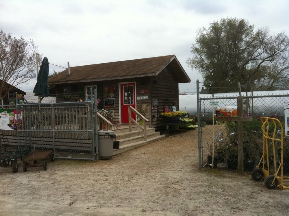 PLANT PARK Updated October 2024 407 Selden St, Elizabeth City