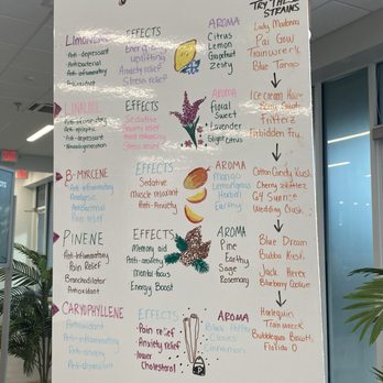 Curaleaf - Good information chart! - Cannabis Clinics Near Me - Jensen Beach, Florida Curaleaf - Good information chart! - Cannabis Clinics Near Me - Jensen Beach, Florida