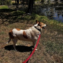 The Kennels - Let your baby relax by the lake at our Pet Resort while you are enjoying your vacation!  You both deserve it!