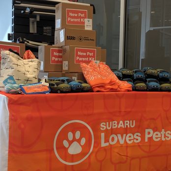 Reynolds Subaru Sales Department - Subaru Loves Pets 2018 - Auto Repair Near Me - Orange, Virginia