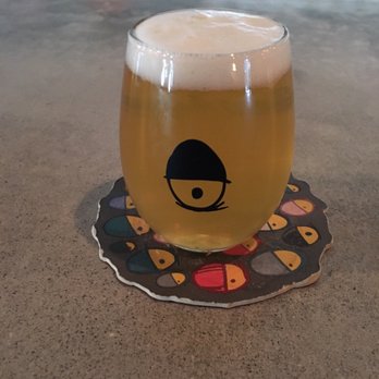 Tripping Animals Brewing - 5oz sample pour - Breweries Near Me - Doral, Florida Tripping Animals Brewing - 5oz sample pour - Breweries Near Me - Doral, Florida