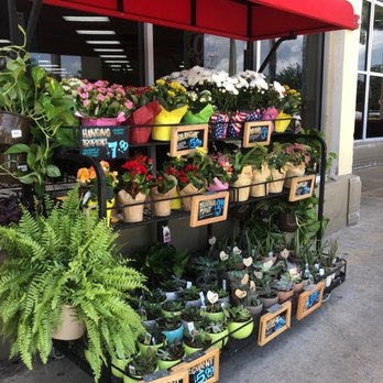 Trader Joe's - Grocery Near Me - Pembroke Pines, Florida Trader Joe's - Grocery Near Me - Pembroke Pines, Florida