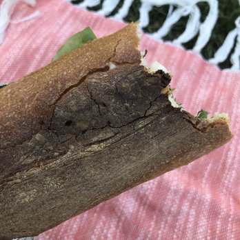 Au Levain d'Antan - The burnt baguette I recieved. Didn't notice the burnt bottom until we got to the park. Ended up throwing most of it out. - Bakeries Near Me - Paris, 75 Au Levain d'Antan - The burnt baguette I recieved. Didn't notice the burnt bottom until we got to the park. Ended up throwing most of it out. - Bakeries Near Me - Paris, 75