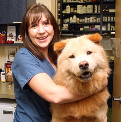 Dix Hills Animal Hospital