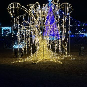 Petit Roulet「 City Lights 」 Meet the woman behind Midtown's holiday lights