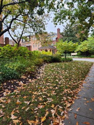 American University by null