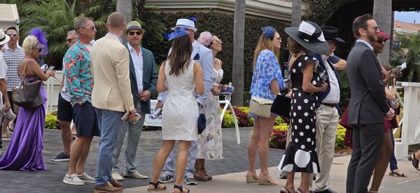 Del Mar Racing by null
