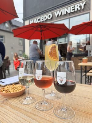 Macedo Winery by null