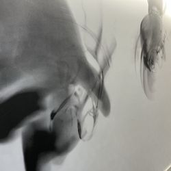 6 Salon - Detroit