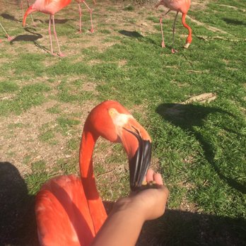 Birmingham Zoo - Zoos Near Me - Birmingham, Alabama