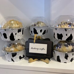 Blue berry muffins Blue berry muffins