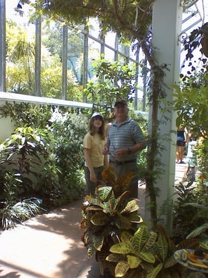 The Key West Butterfly and Nature Conservatory by null