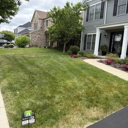 Front lawn