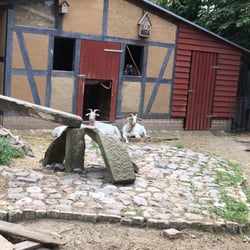 Ziegenhof Kinderbauernhof - Ziegenbauernhof / Charlottenburg