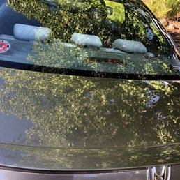 Trunk after Trunk after