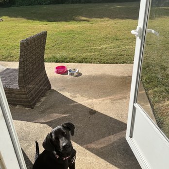 1. The Griffindore Dog Retreat