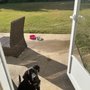 Photo of The Griffindore Dog Retreat