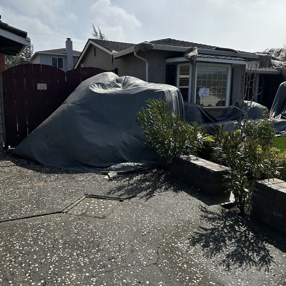 Cost Less Fumigation - Tent flapping around in my driveway after they left it up in a forecasted wind storm, five minutes after moving my brand new car - Pest Control Near Me - San Jose, California Cost Less Fumigation - Tent flapping around in my driveway after they left it up in a forecasted wind storm, five minutes after moving my brand new car - Pest Control Near Me - San Jose, California