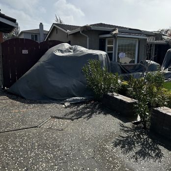 Cost Less Fumigation - Tent flapping around in my driveway after they left it up in a forecasted wind storm, five minutes after moving my brand new car - Pest Control Near Me - San Jose, California Cost Less Fumigation - Tent flapping around in my driveway after they left it up in a forecasted wind storm, five minutes after moving my brand new car - Pest Control Near Me - San Jose, California