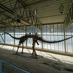Dinosaurier-Park