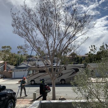 Diamond Arborist Service - Crepe Myrtle - Tree Services Near Me - Laguna Hills, California Diamond Arborist Service - Crepe Myrtle - Tree Services Near Me - Laguna Hills, California